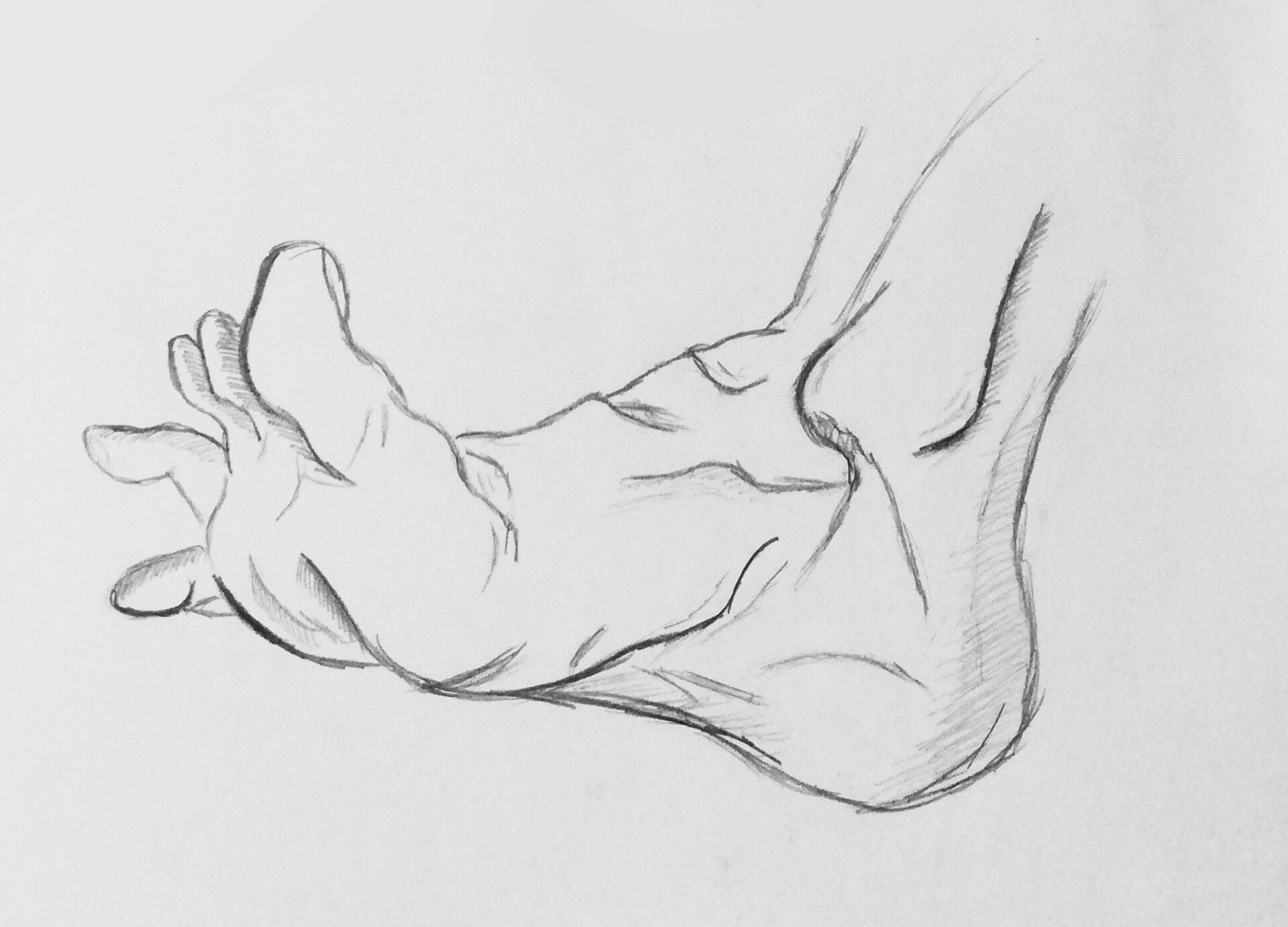 Noge 2